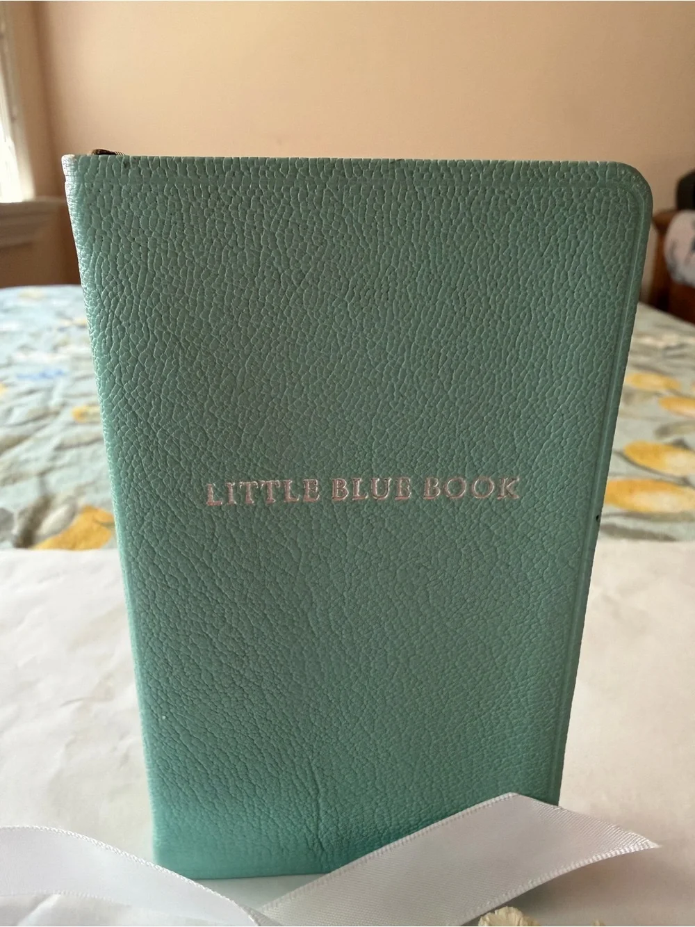 🌷TIFFANY & CO. LITTLE BLUE BOOK 🌷 NWOT 🌷
